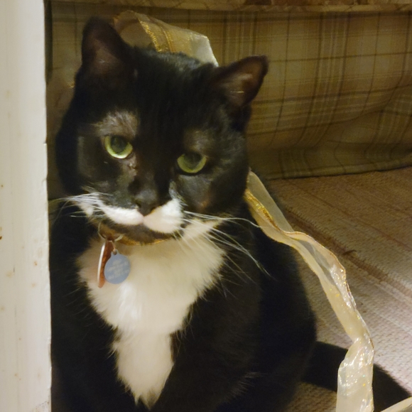 Meet your Posher, M - Picture 6 of 6